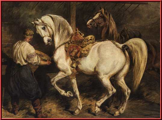 اسب نژاد کورد